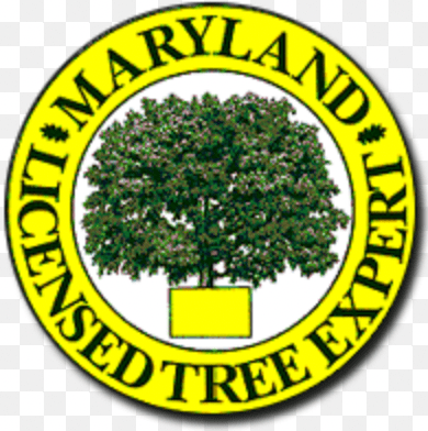 Maryland Licensed Tree Expert