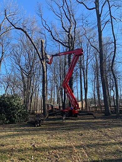 Spider Lift